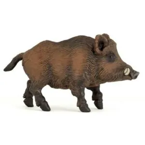 SANGLIER - PAPO