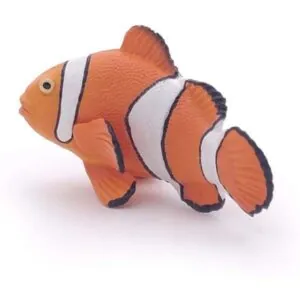 POISSON CLOWN - PAPO