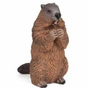 MARMOTTE - PAPO