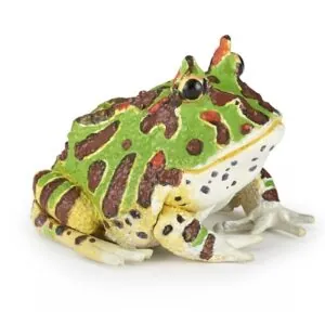 GRENOUILLE CORNUE - PAPO
