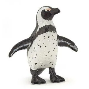 MANCHOT DU CAP - PAPO