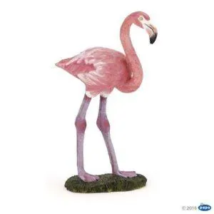 FLAMANT ROSE - PAPO