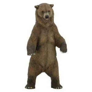 GRIZZLY - PAPO