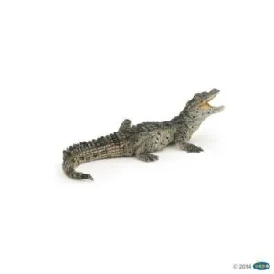 BEBE CROCODILE - PAPO