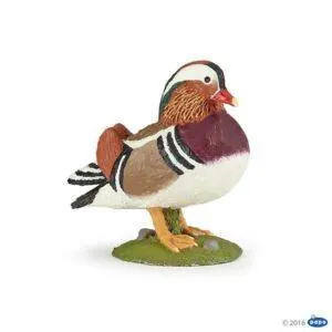 CANARD MANDARIN - PAPO