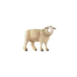 BREBIS MERINOS - PAPO