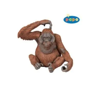 ORANG - OUTANG - PAPO