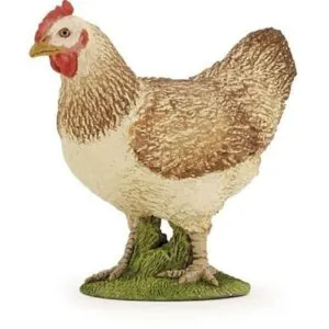 POULE ROUSSE - PAPO