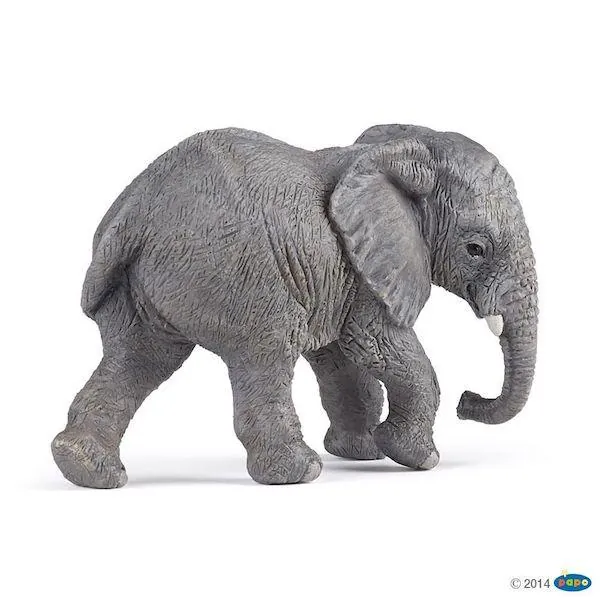 JEUNE ELEPHANT D'AFRIQUE - PAPO