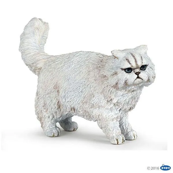 CHAT PERSAN - PAPO