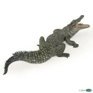 CROCODILE DU NIL - PAPO