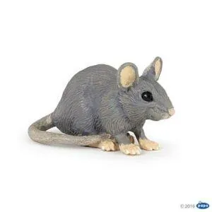 SOURIS GRISE - PAPO