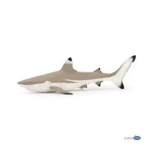 REQUIN A POINTE NOIR - PAPO