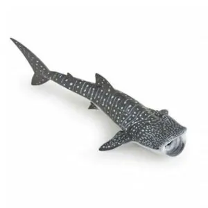 REQUIN BALEINE - PAPO