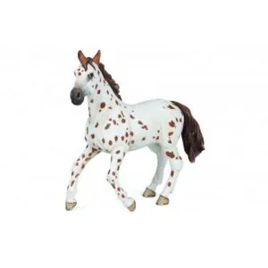 JUMENT APPALOOSA BRUNE - PAPO