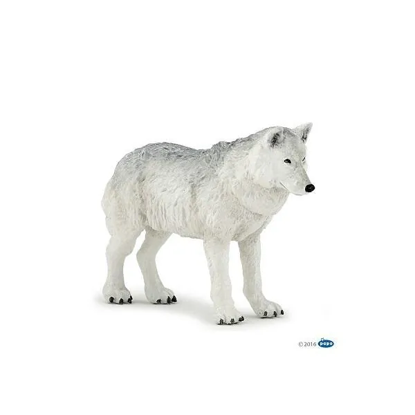 LOUP POLAIRE-PAPO