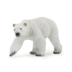 OURS POLAIRE - PAPO