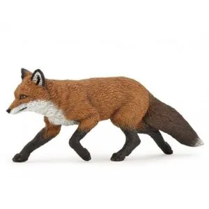 RENARD - PAPO