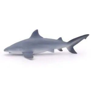 REQUIN BOULEDOGUE - PAPO