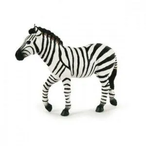 ZEBRE MALE - PAPO