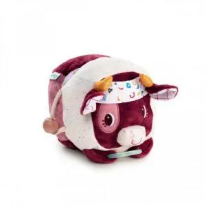 ROSALIE BALLE MULTI ACTIVITES