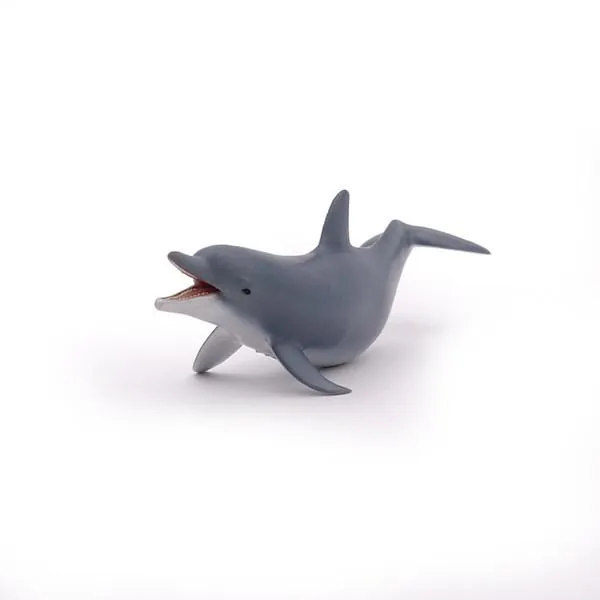 DAUPHIN JOUANT - PAPO – Image 2