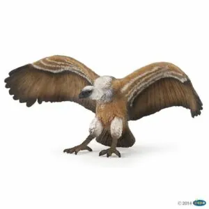 VAUTOUR - PAPO