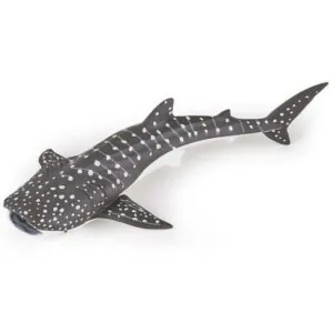 JEUNE REQUIN BALEINE - PAPO