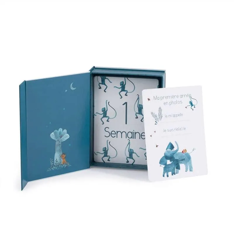 CARTES MES 12 PREMIERS MOIS - SOUS MON BAOBAB - MOULIN ROTY – Image 2