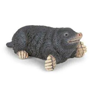 TAUPE - PAPO
