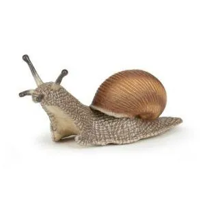 ESCARGOT - PAPO