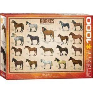 PUZZLE EUROGRAPHICS : CHEVAUX - 1000 PIECES