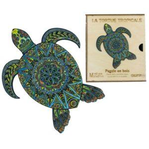 Tortue-Tropicale