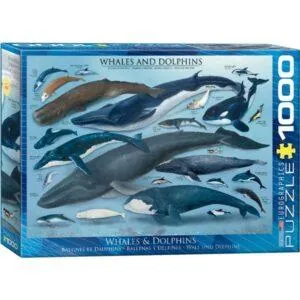 PUZZLE EUROGRAPHICS : BALEINES ET DAUPHINS - 1000 PIECES