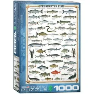 PUZZLE EUROGRAPHICS : POISSONS D'EAU DOUCE - 1000 PIECES