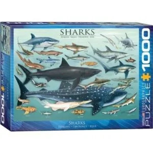 PUZZLE EUROGRAPHICS : REQUINS - 1000 PIECES