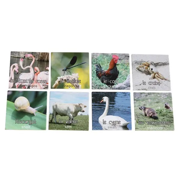 Memo-Animaux
