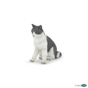 CHATTE ASSISE - PAPO