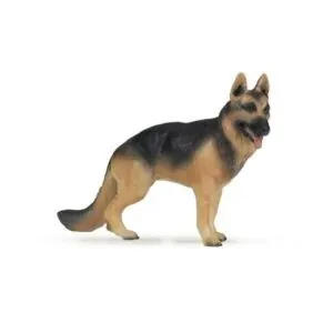BERGER ALLEMAND - PAPO