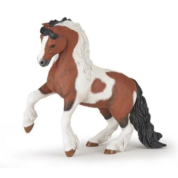 CHEVAL COB IRLANDAIS - PAPO