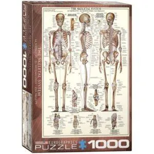 PUZZLE EUROGRAPHICS : LE SQUELETTE - 1000 PIECES