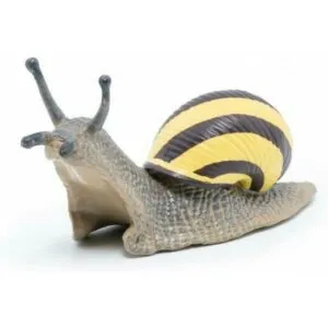 ESCARGOT DES BOIS - PAPO