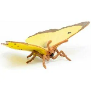 PAPILLON SOUCI - PAPO