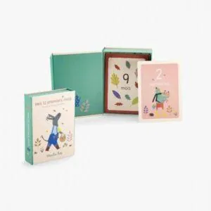 CARTES MES 12 PREMIERS MOIS - POMME DES BOIS - MOULIN ROTY