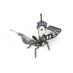 PAPILLON MACHAON - PAPO