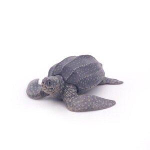 TORTUE LUTH - PAPO