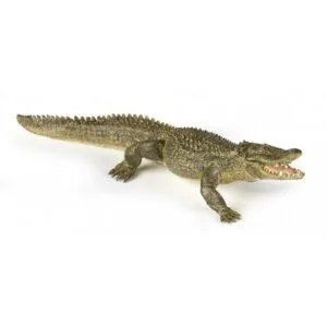 ALLIGATOR - PAPO