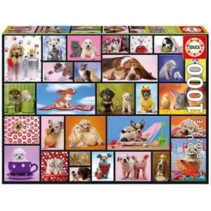 PUZZLE EDUCA : MOMENTS PARTAGES - 1000 PIECES