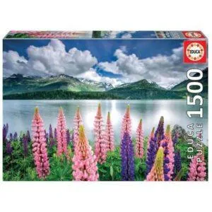 PUZZLE EDUCA : LUPINS SUR LES RIVES DU LAC SILS SUISSE - 1500 PIECES