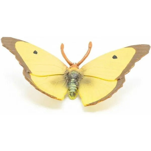 PAPILLON SOUCI - PAPO – Image 2